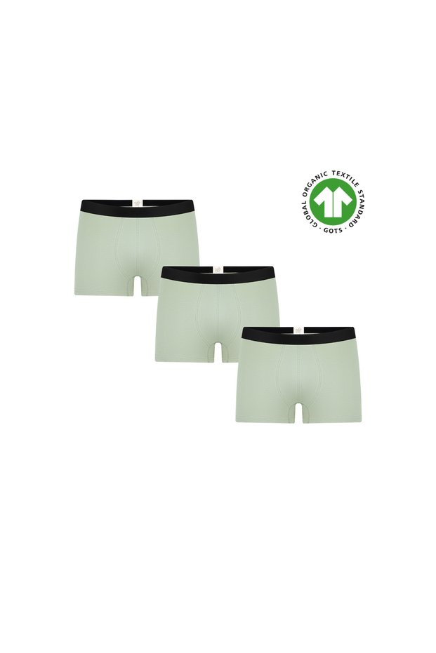 Gots Certified Organic Cotton Men's Trunk Boxer Underwear