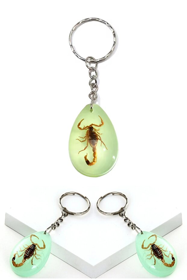 Real Natural Scorpion Fossil Keychain Highlighter Car Bag Accessory Special Production Gift Collection