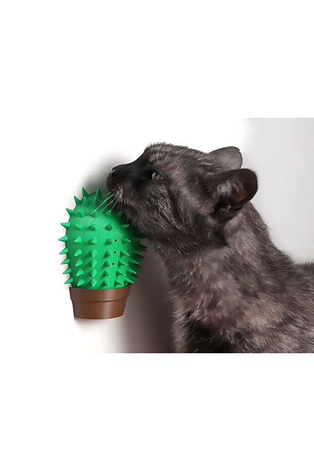 أداة كشط ذاتية من Cat Cactus ذات طباعة عالية الجودة