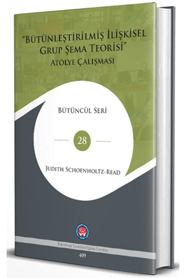 Bütünleştirilmiş İlişkisel Grup Şema Teorisi (Ciltli)