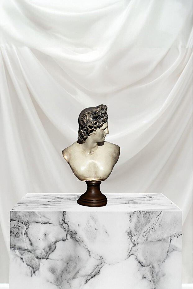 Dekoratif Apollo Büst - 2