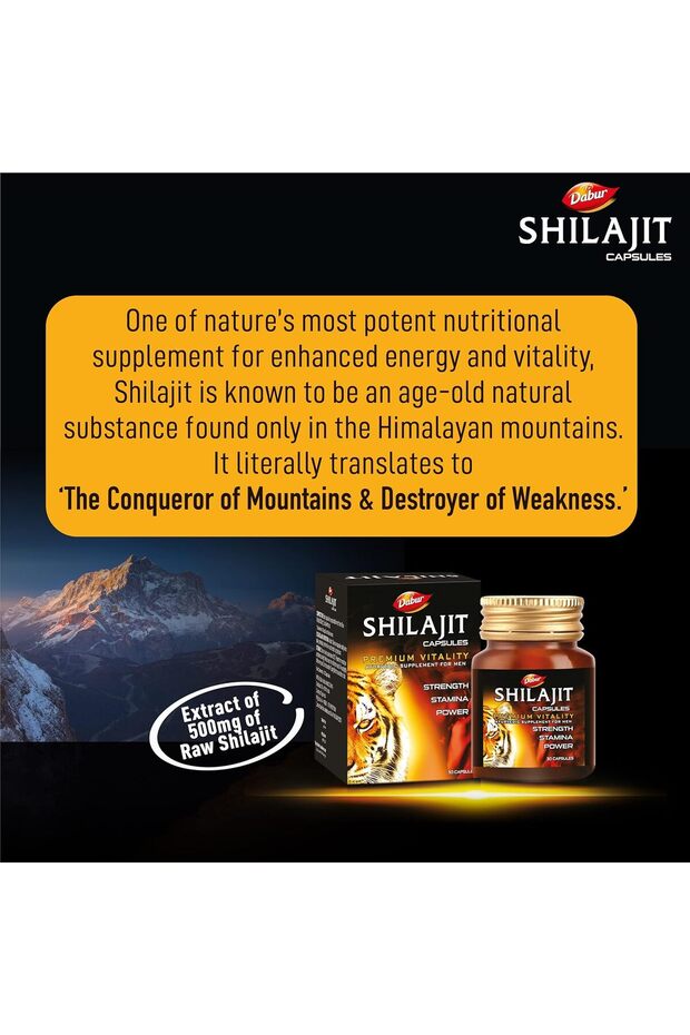 Shilajit Capsules 30s - 3