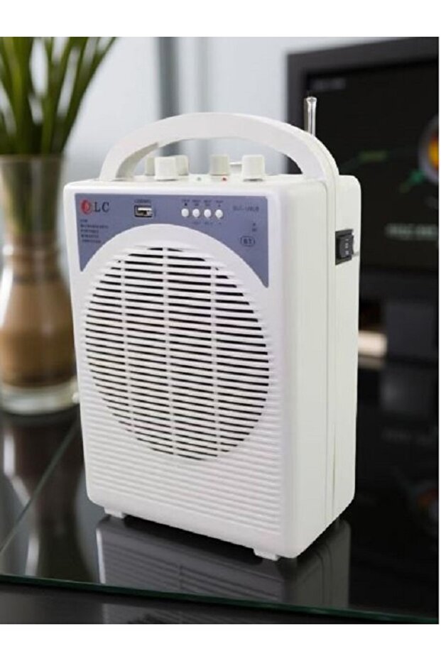 Wireless speaker - 1