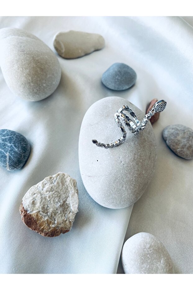 إكسسوار أذن على شكل ثعبان فضي - 1