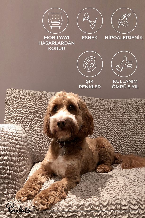 Lastikli Esnek ve Yıkanabilir Tek Kişilik Koltuk Örtüsü Koltuk Kılıfı - Açık Bej - 7