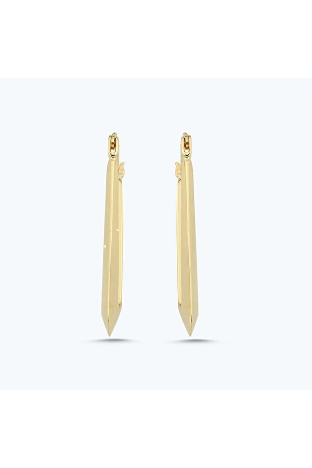 Altın Halka Küpe - 2