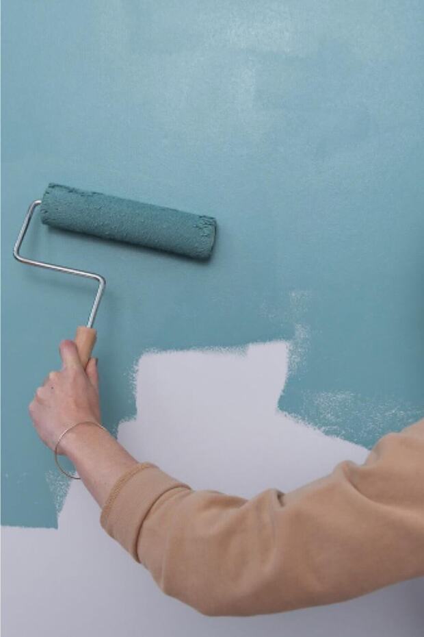 Interior-Exterior Paint Roller 25cm - 2