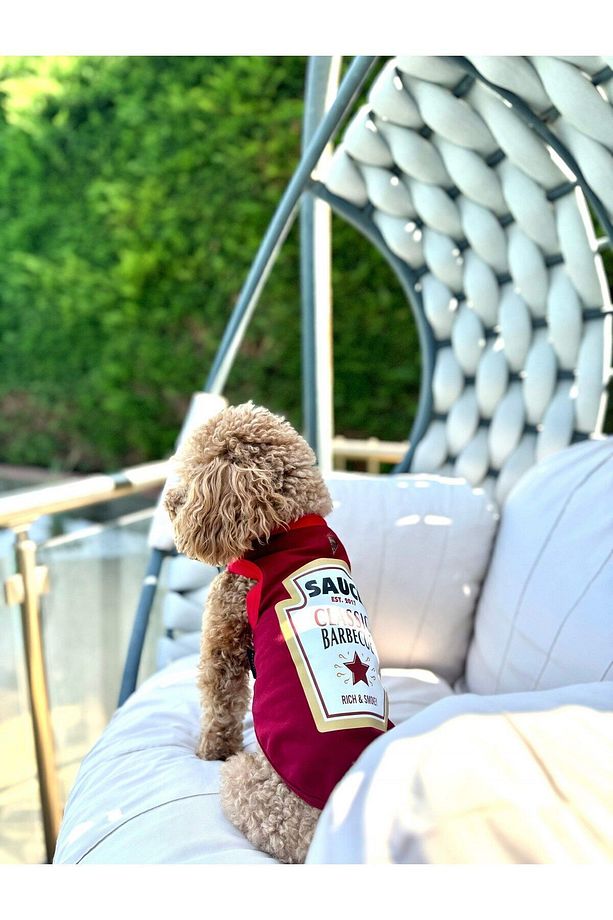 Köpek Elbisesi, Köpek Penye Atlet, Barbeque Souce, Küçük Irk Köpekler - 5