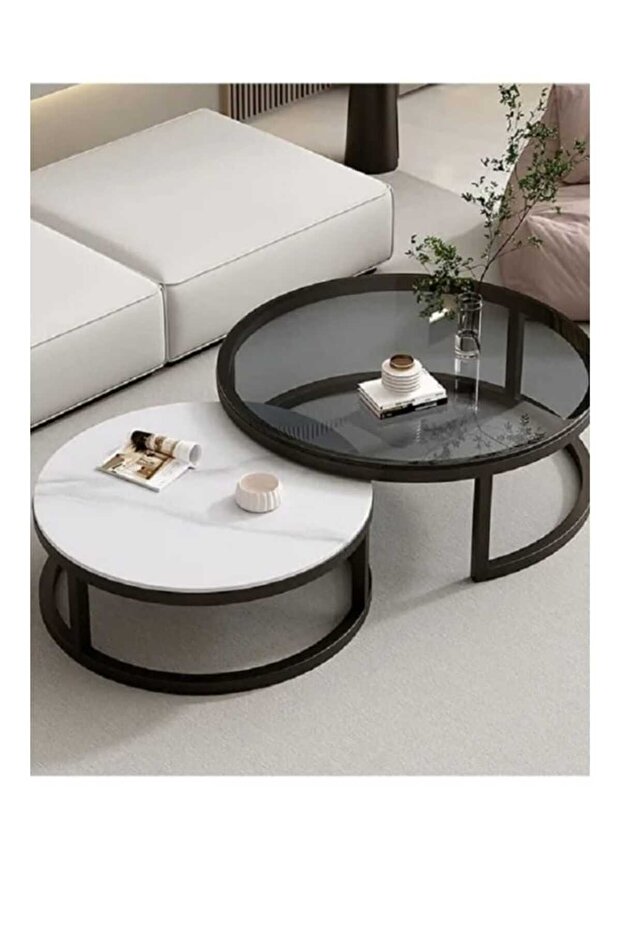 Coffee Tables with Simple Design, Transparent Rocky Desktop, Set of 2 Nested Tables for - 3