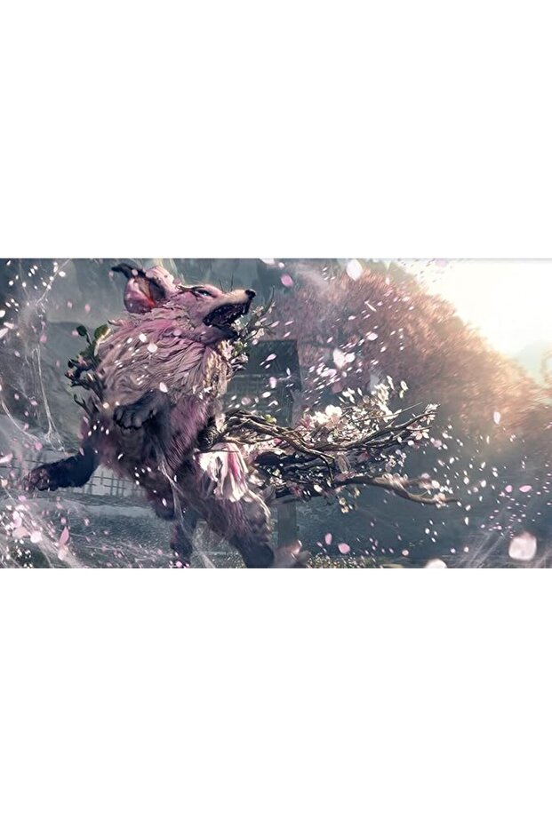 Wild Hearts S PEGI Switch 2 - 4