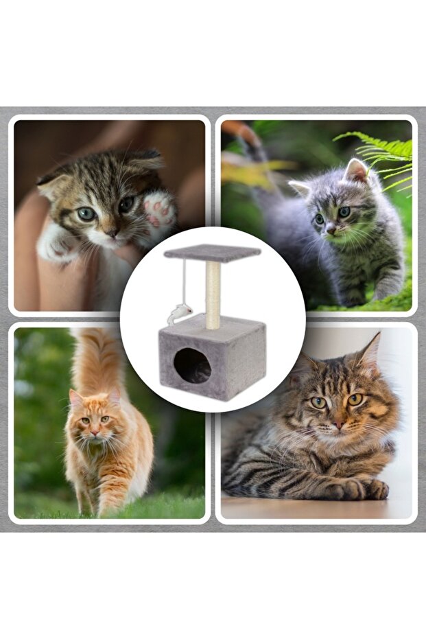 Cat play set, with scratching post, hidden, platform, 62cm, gray - 7