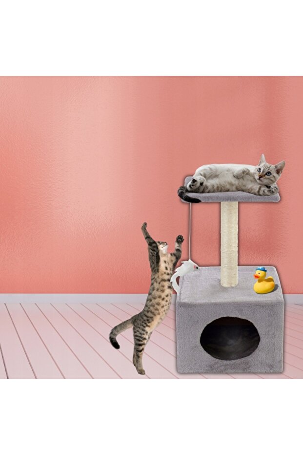 Cat play set, with scratching post, hidden, platform, 62cm, gray - 4