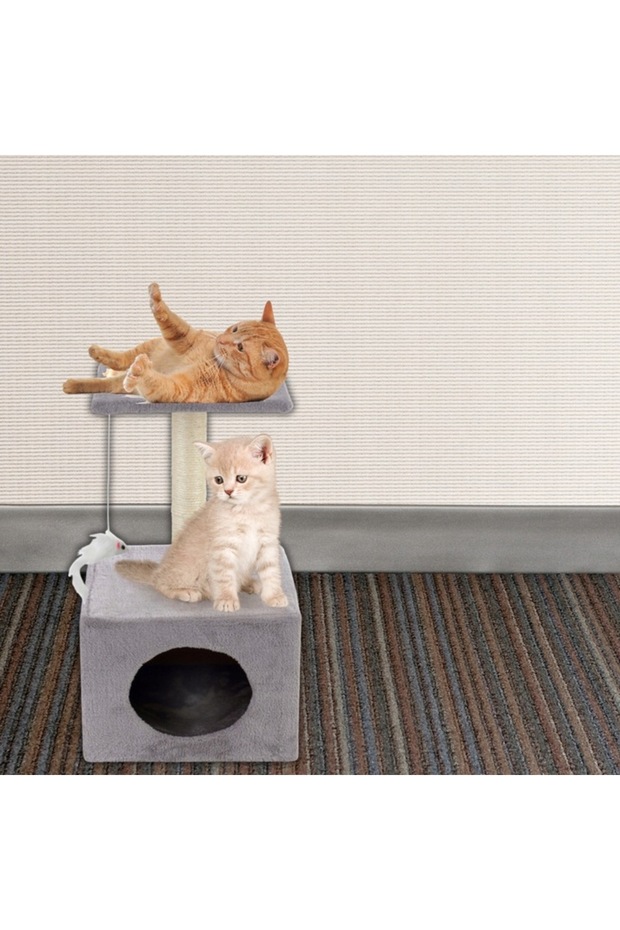 Cat play set, with scratching post, hidden, platform, 62cm, gray - 12