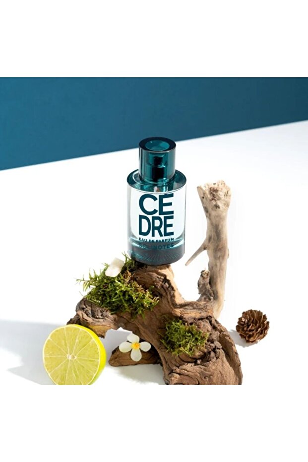 Cedar Eau de Parfum, SoliNotes, 50 ml - 4