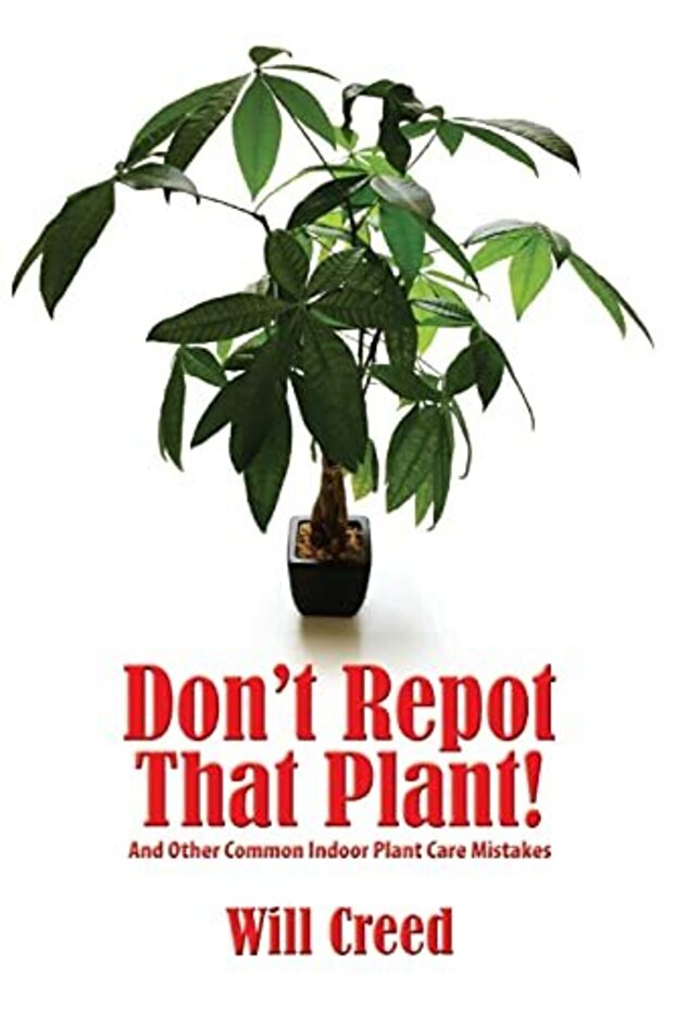 Dont Repot That Plant