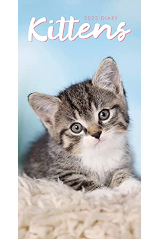 Kittens Slim Diary
