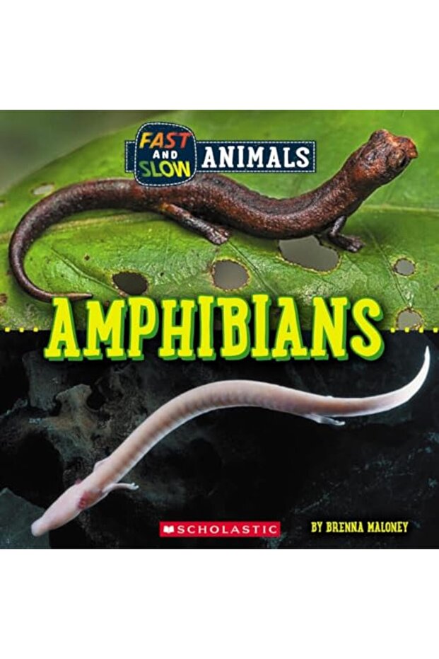 Fast And Slow: Amphibians (Wild World)