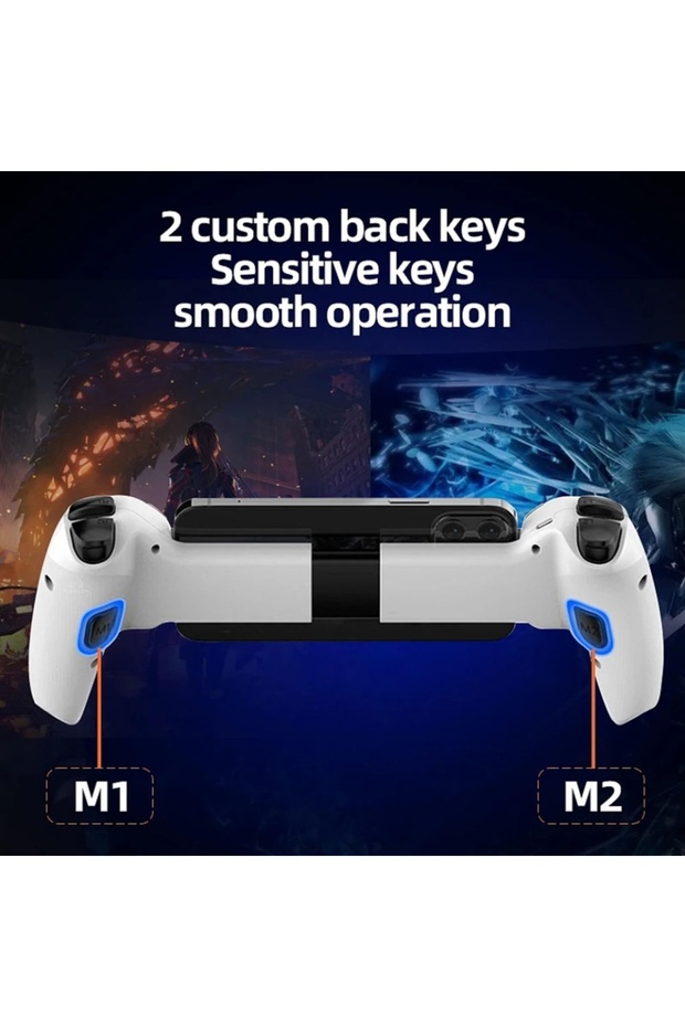 Wireless Bluetooth 5.2 Controller Universal, Android/iOS/PS4/Switch, BSP-D9, set sticker, Blue - 5