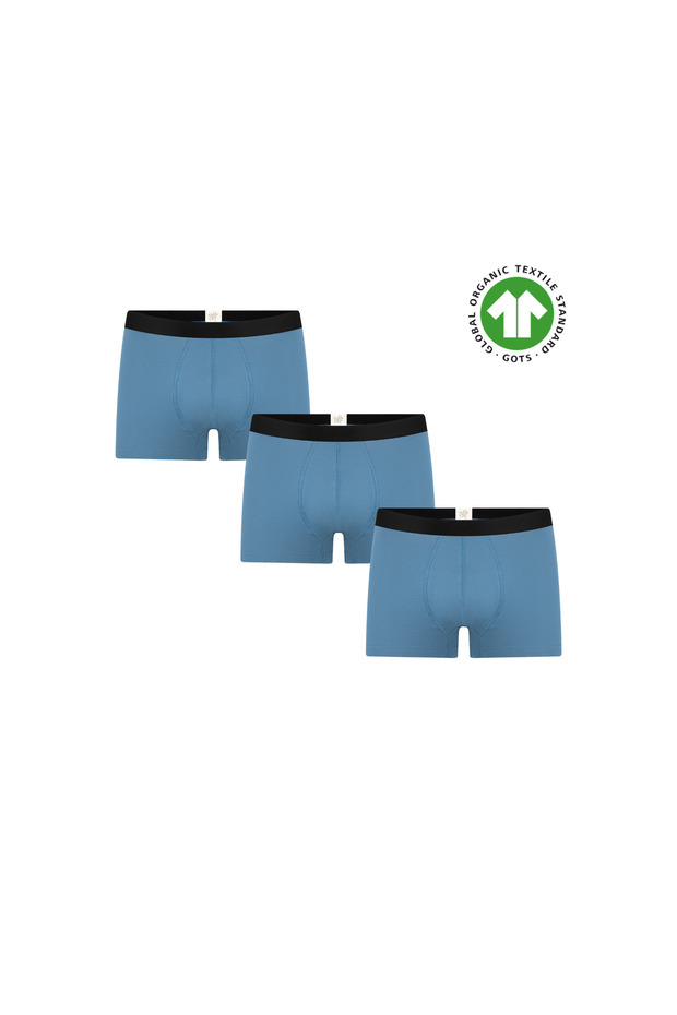 Gots Certified Organic Cotton Men's Trunk Boxer Underwear