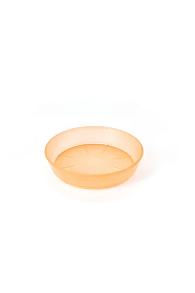 Classic Round Planter Saucer Assorted 9x9x2.5cm – Durable Base for Plant Pots