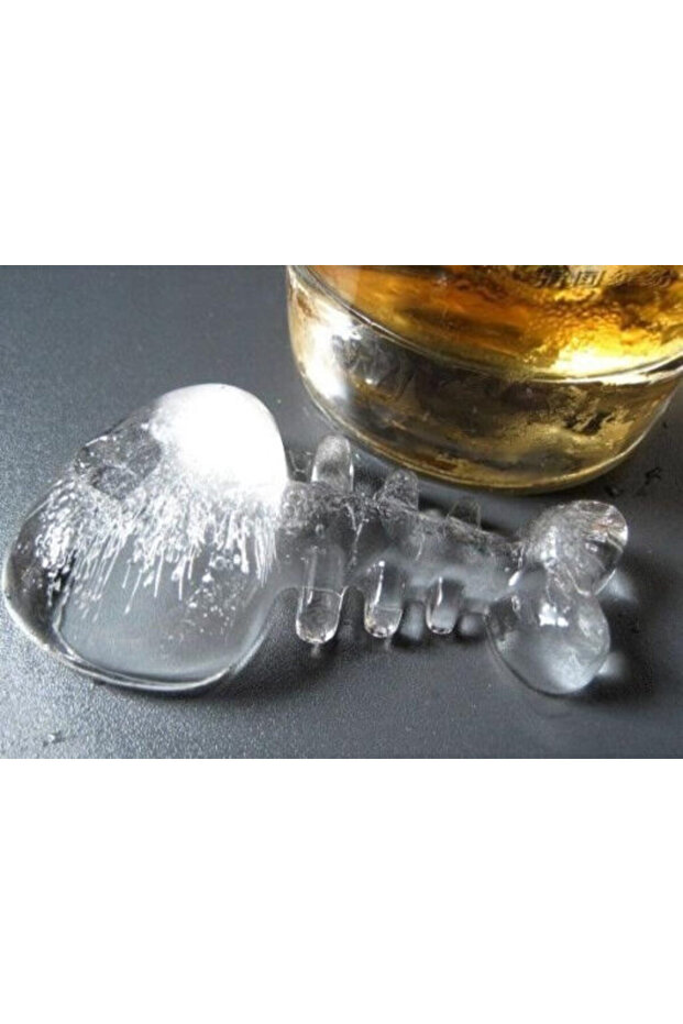 Fish Bone Ice Mold Black - 6