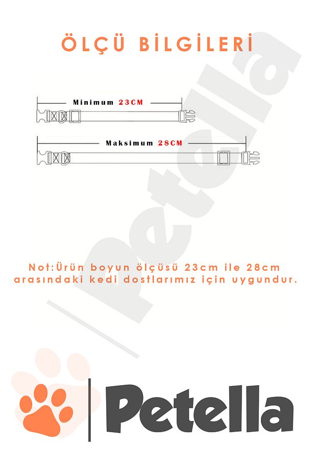 Köpek Tasması İsimli Köpek Boyun Tasması Krem - 4