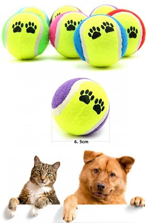 Pet Cat Dog Training Ball Set of 3