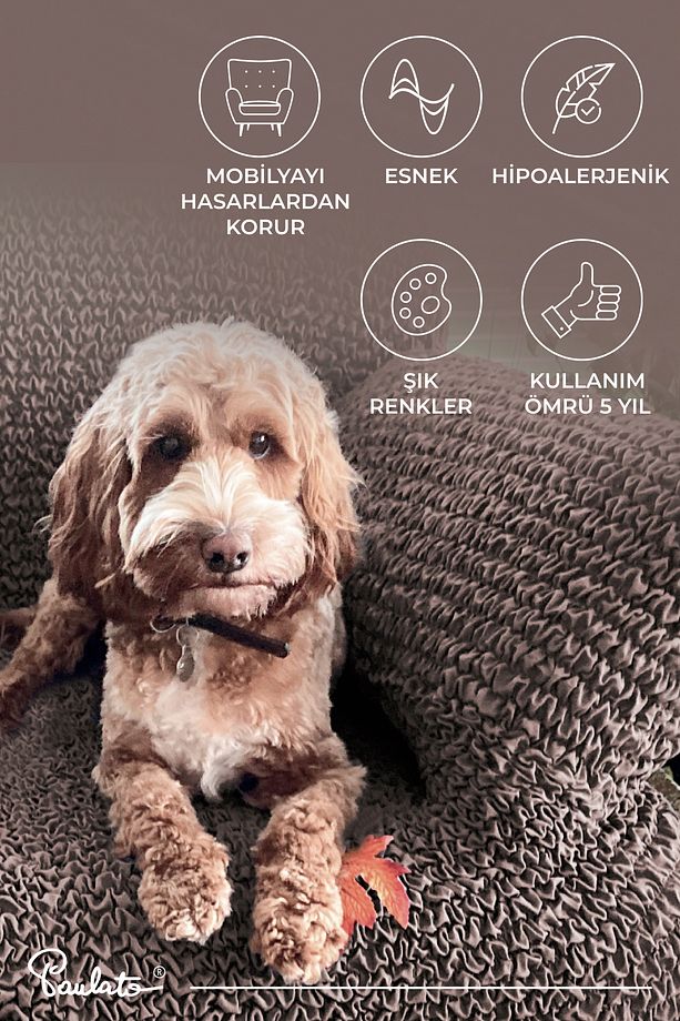 Lastikli Esnek Ve Yıkanabilir Tek Kişilik Koltuk Örtüsü Koltuk Kılıfı - Kakao - 7
