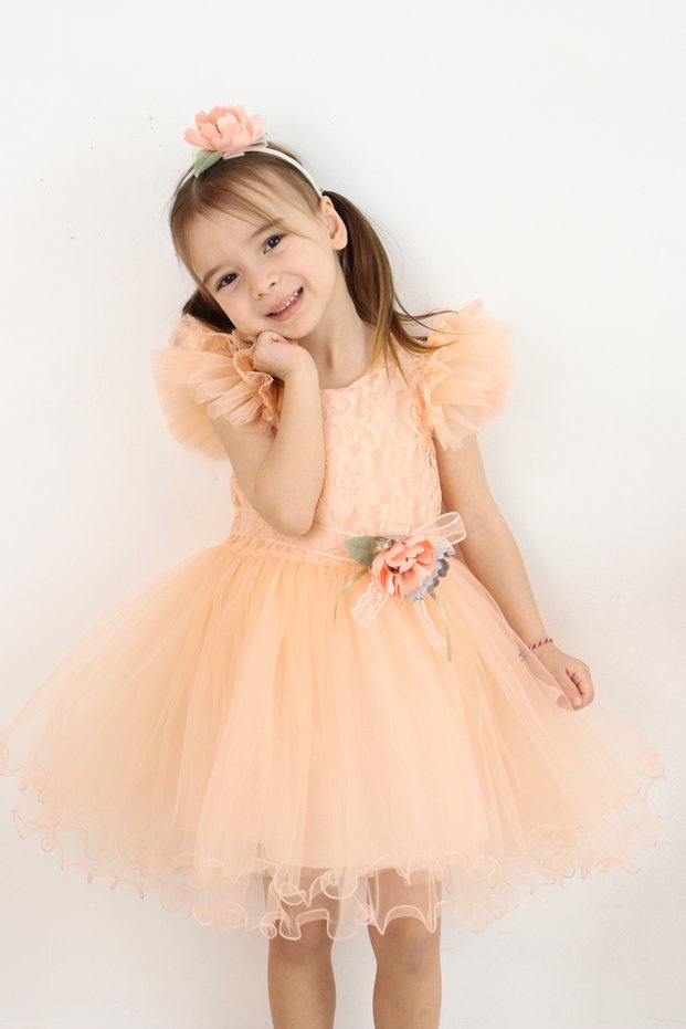 Girls' Princess Dress with Tulle Crown Special Occasion and Birthday Party Dress