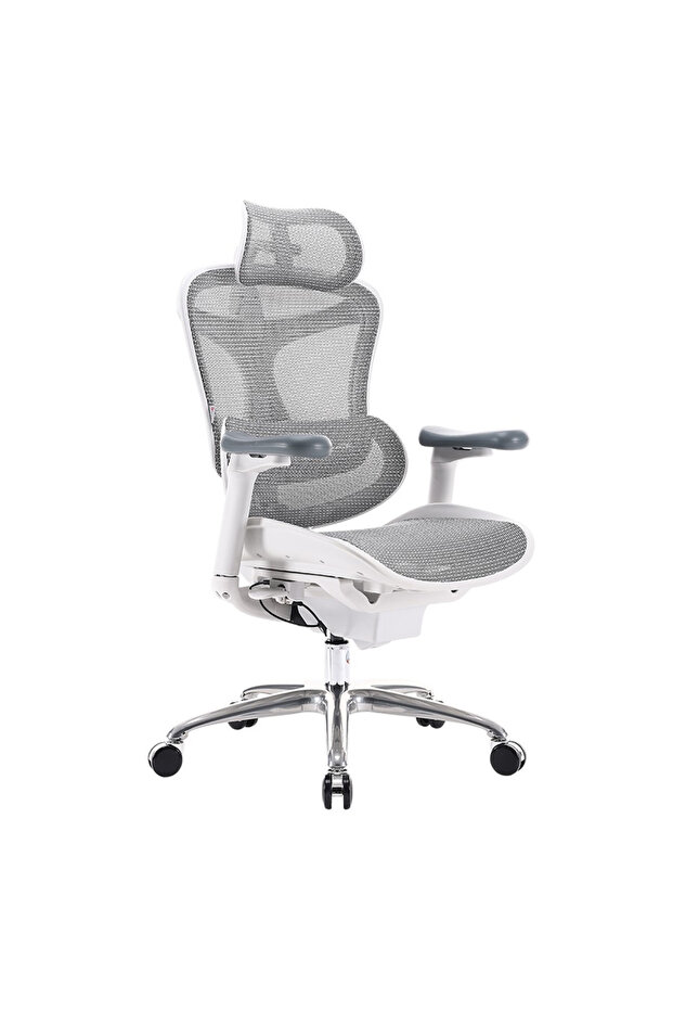 Sihoo High Back Ergonomic Mesh Chair With 3d Adjustable Ideal For Home And Office - Light Grey