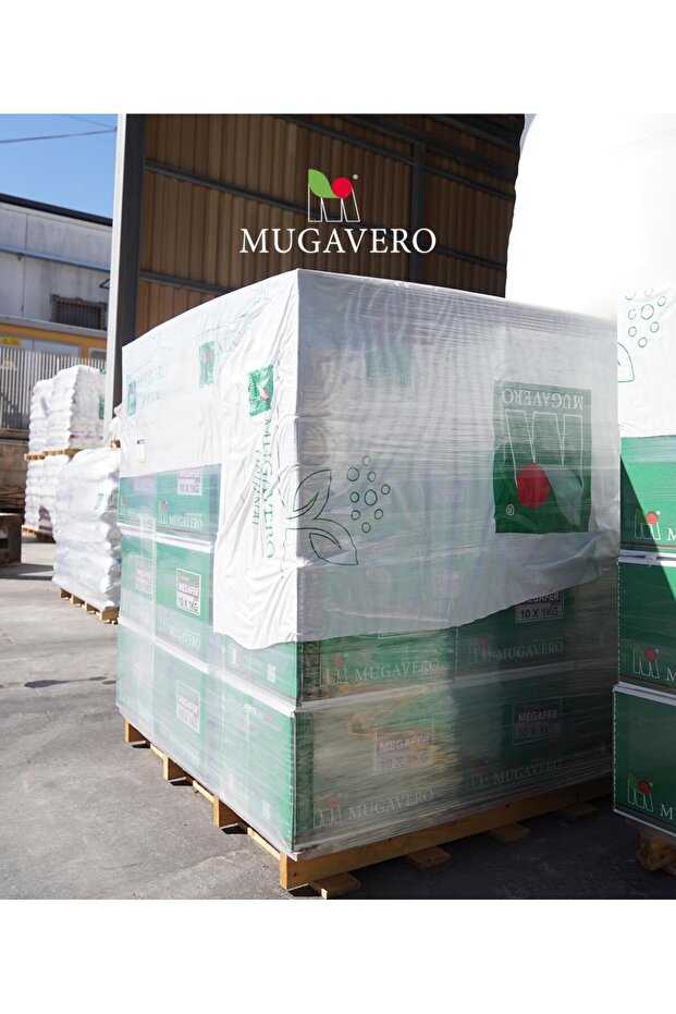 Megaflor Mix Combi Yaprak Gübresi 1 Kg - Bor, Bakır, Demir, Mangan, Çİnko içerikli İTHAL - 4