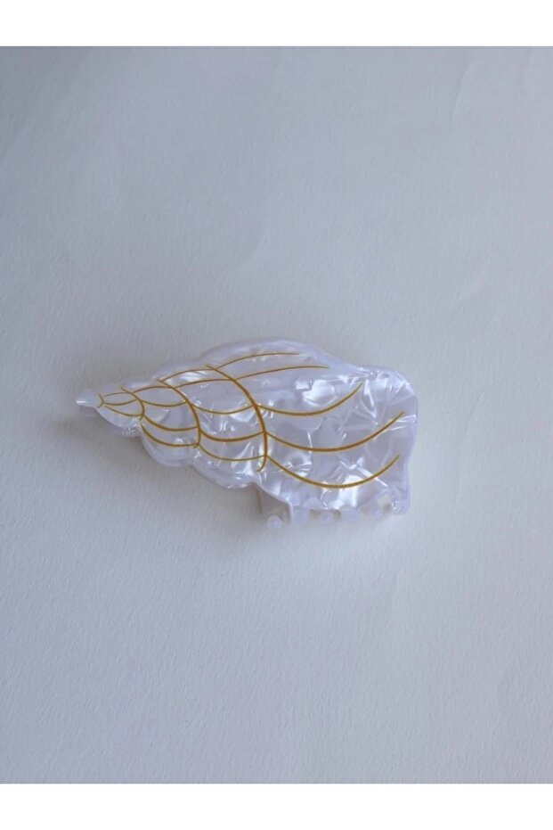 مشبك صدفة الحلزون - 4