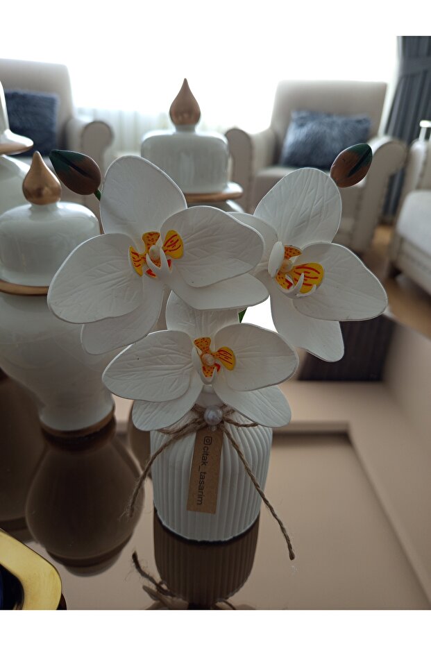Mini orkide sunum çiçeği - 3
