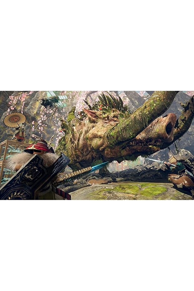 Wild Hearts S PEGI Switch 2 - 2