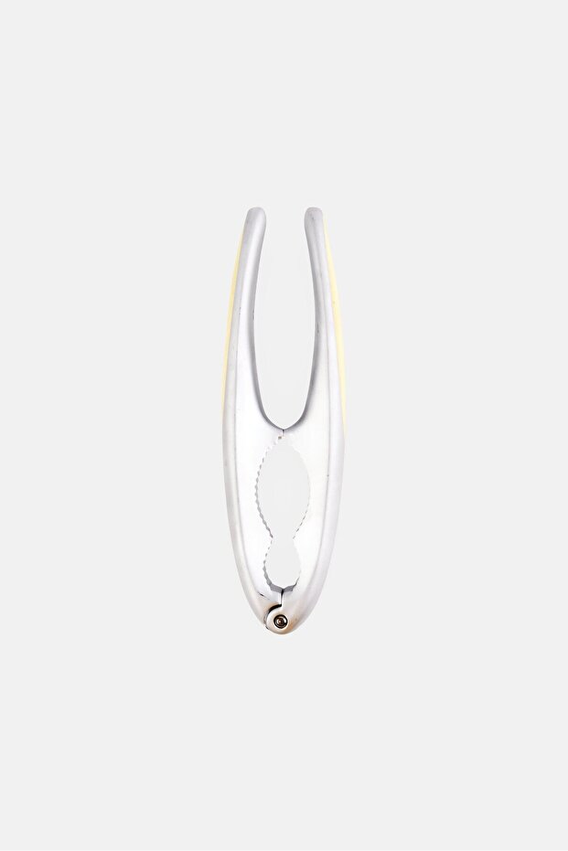 كسارة البندق، فضية - 1