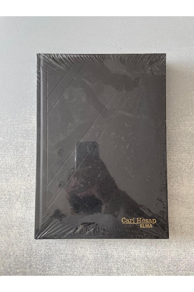 Cari̇ Account Book 20*28 Rectangular 240Yp - 1