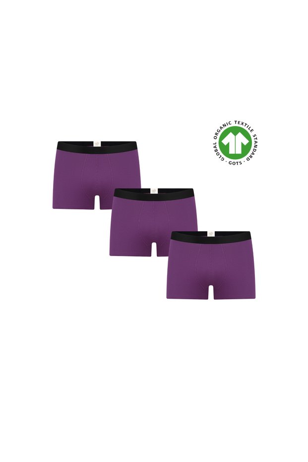 Gots Certified Organic Cotton Men's Trunk Boxer Underwear