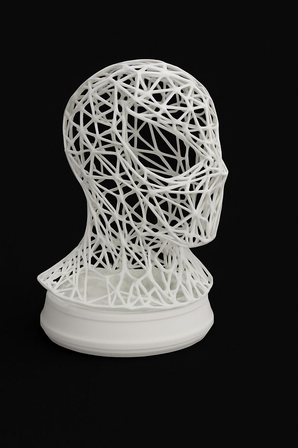 Ağ Desenli Modern Büst – Örümcek İzi Temalı 3D Sanat Objesi - 1