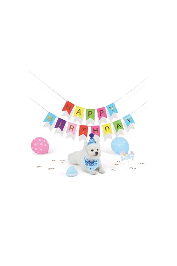 Party Time Birthday Set for Boys Dogs