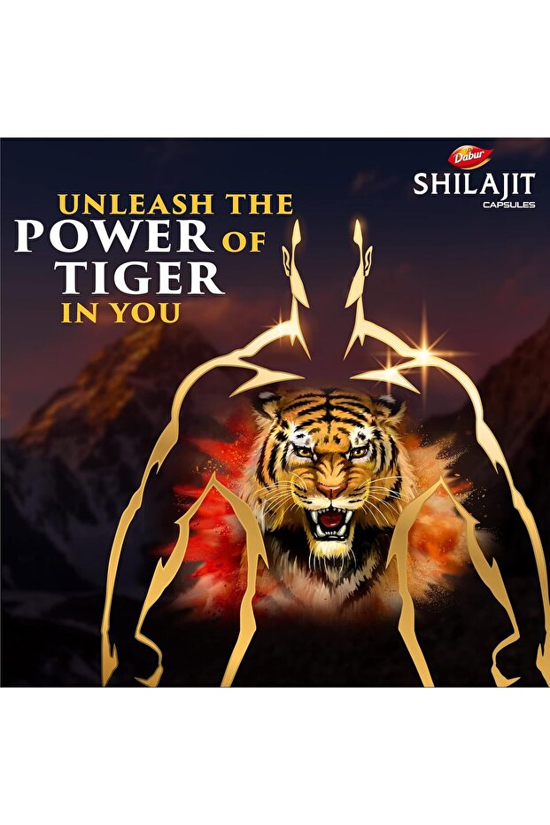 Shilajit Capsules 30s - 2