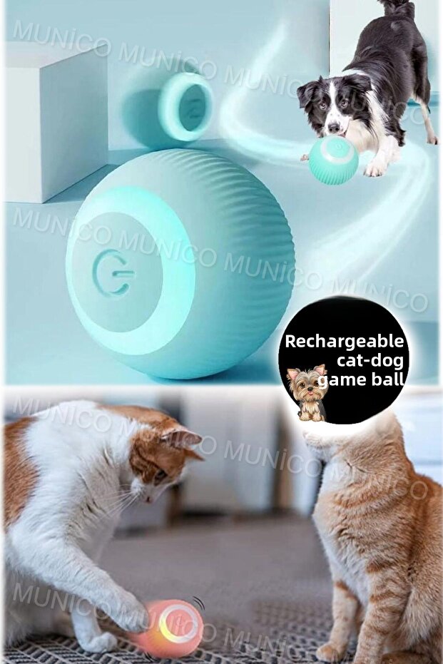 Quiet Study Mode for Training - Automatic Moving Kitten Toys - 3