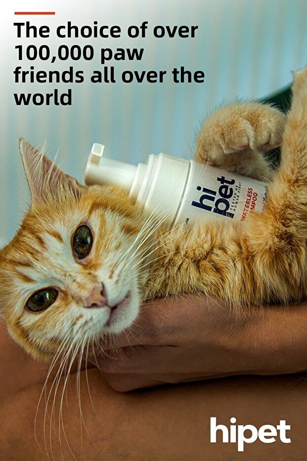 Cat Dry Shampoo - 5
