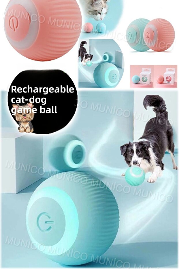 Quiet Study Mode for Training - Automatic Moving Kitten Toys - 1