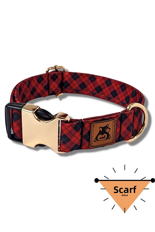 طوق كلب أنيق - 1