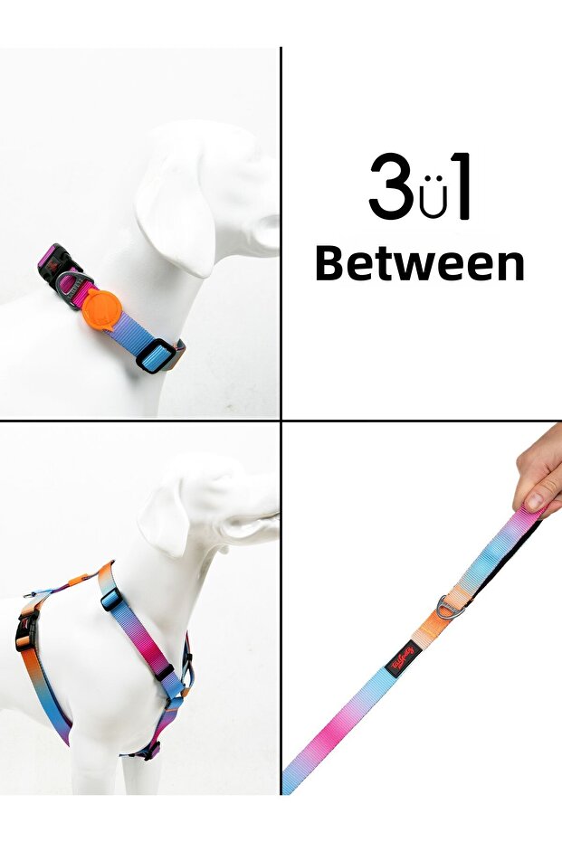 Pass H-Type Chest Neck Collar and Ship Strap Set 3 in 1 - 1