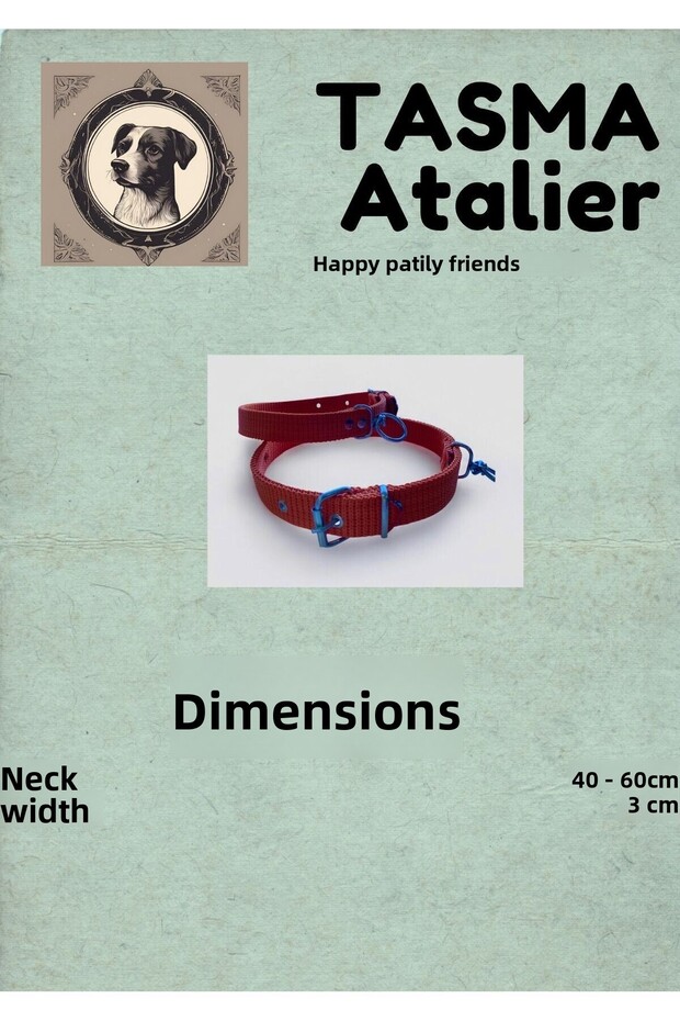 طوق كلب كبير الحجم - 4