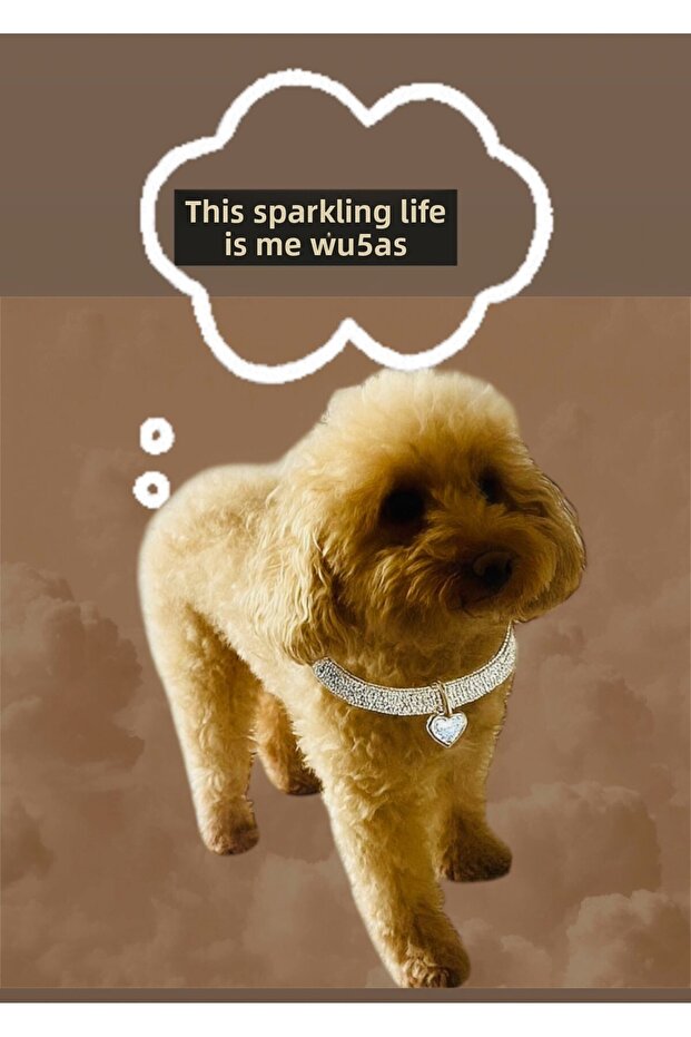 Dog Leash Necklace with Stones Accessory (Letter You Want Please Send as Message)