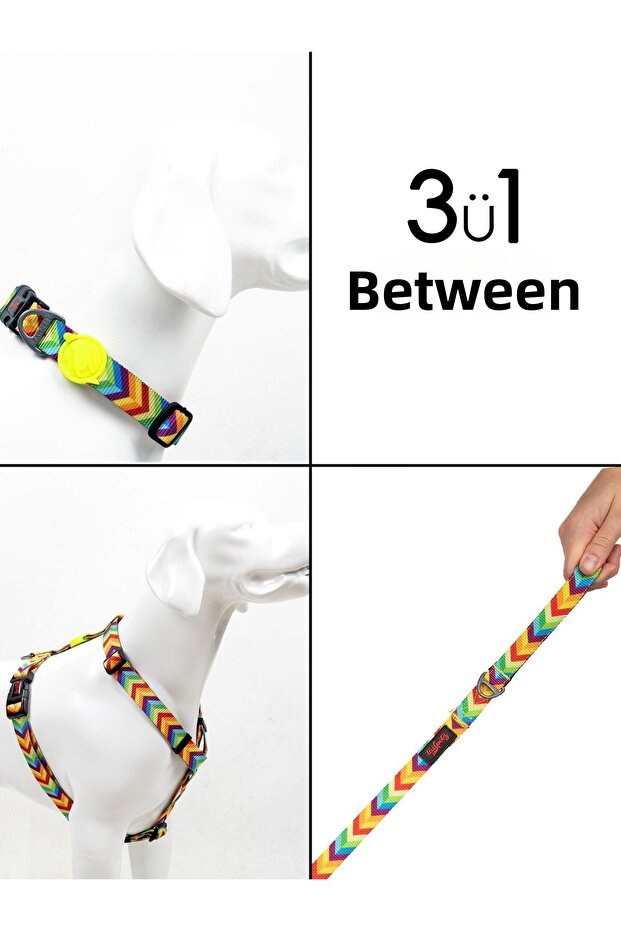 طقم طوق للرقبة على الصدر من النوع Rainbow H مع حزام 3 في 1