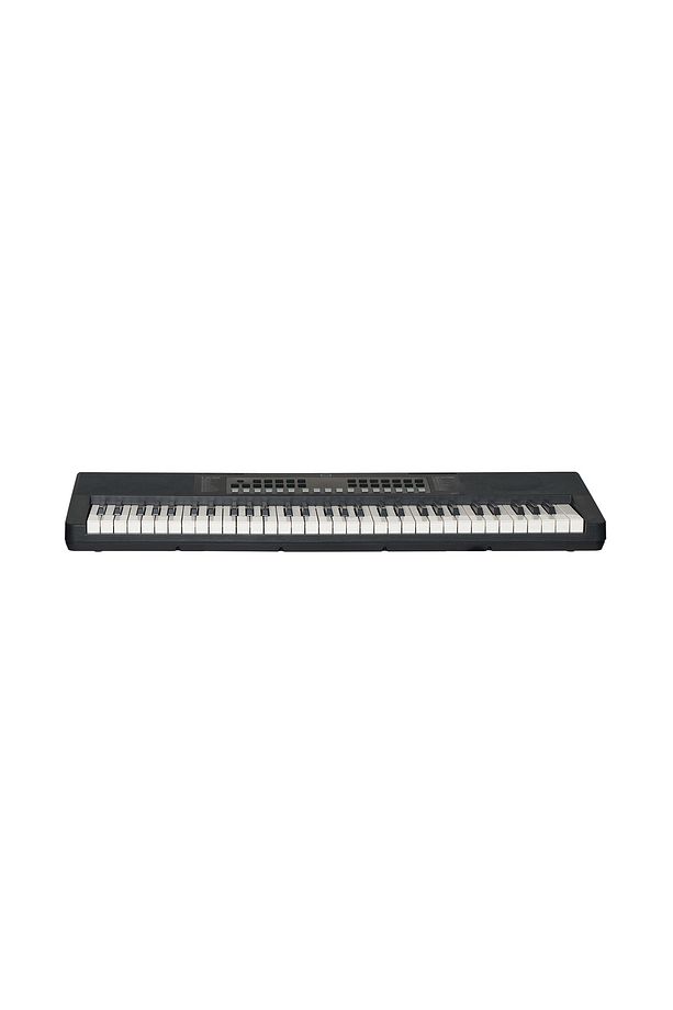 D110 61 Tuşlu Org – Led Ekranlı, Usb Mıdı, Taşınabilir Klavye - 2