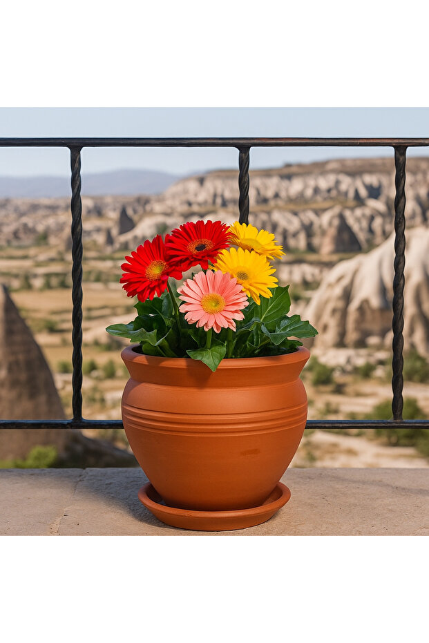Terracotta Saksı - 1
